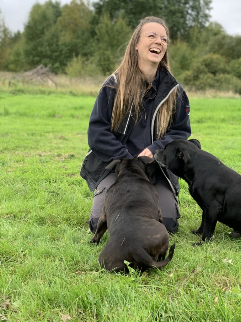 JesseNinjas Hundskola, Staffordshire Bullterrier